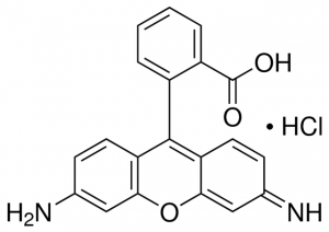 Rhodamine 110 chloride 