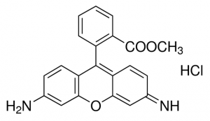 Rhodamine 123 