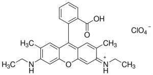 Rhodamine 19 perchlorate 546062-100MG-A