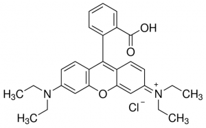Rhodamine B 