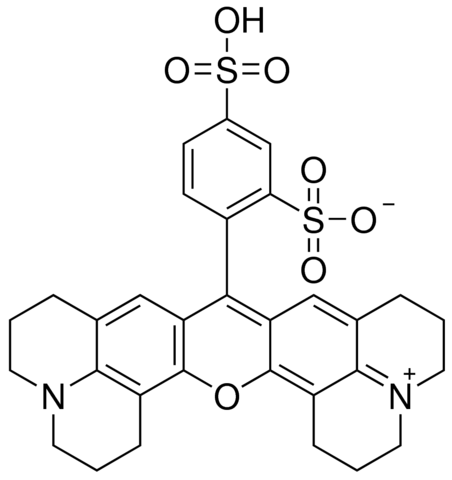Sulforhodamine 101 