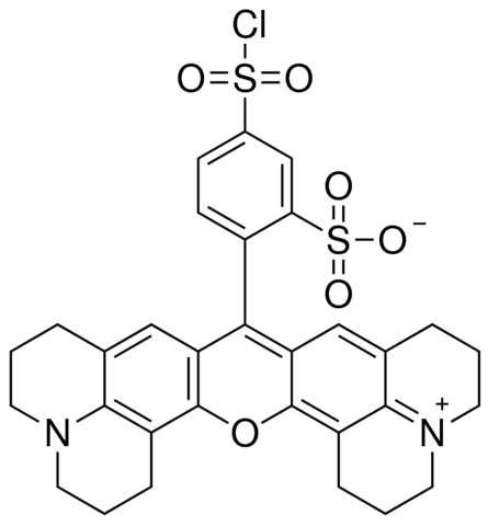Sulforhodamine 101 acid chloride 