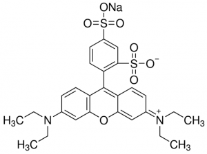 Sulforhodamine B 