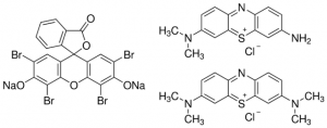 Tetrachrome Stain (MacNeal) 