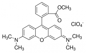 Tetramethylrhodamine methyl ester perchlorate 