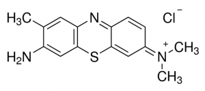 Toluidine Blue O 
