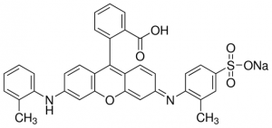 Violamine R 229385-25G