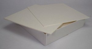 Whatman gel blotting papers, Grade GB005 WHA10426981