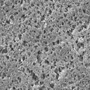Nylon Net Filter ANWP02500