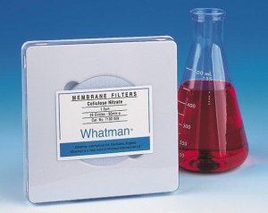 Whatman cellulose acetate membranes WHA70000004