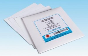 Whatman nitrocellulose membrane filters WHA7182002