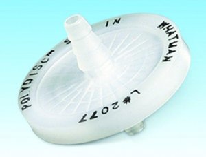 Whatman Polydisc GW in-line filter for ground water WHA10463400