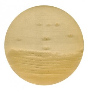 Antibiotic agar no. 1 