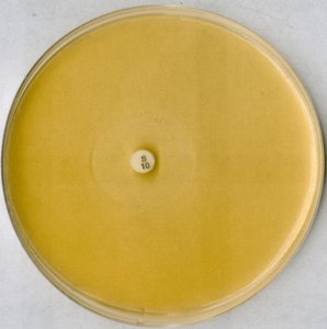 Antibiotic agar No. 5 