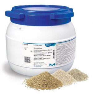 Linden Grain Medium 