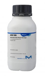 Mannitol Salt Phenol Red Agar 