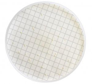 Milliflex Cassette prefilled with R2A Agar MXSMCRA48