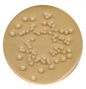 Potato Dextrose Agar 
