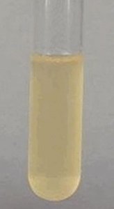 Potato Dextrose Broth 