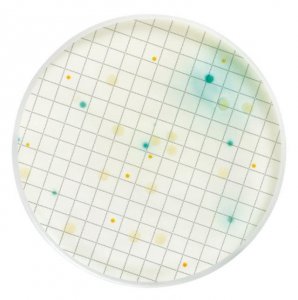 Pseudomonas Selective Broth MHA000P2P