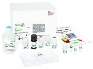 HybriScanD Legionella 16593-96TESTS