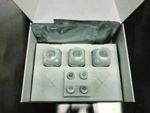 GDS Listeria spp. Tq 71009-100