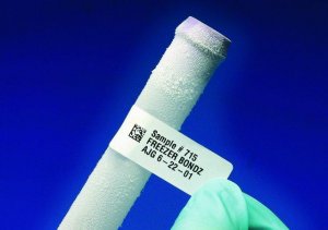 Brady Freezerbondz labels Z664650-1ROL