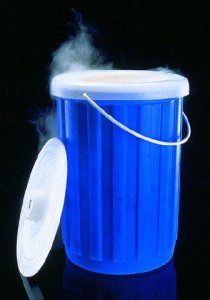 Nalgene Dewars F9776-1EA