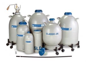 Worthington LD Series Liquid Nitrogen Dewars F4524-1EA