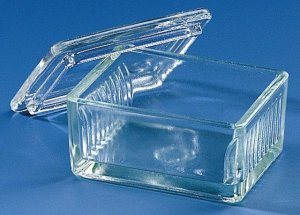 BRAND glass staining trough, Schiefferdecker pattern BR472500-10EA