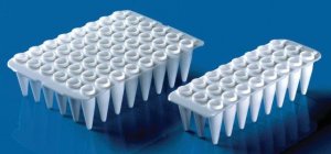 BRAND 48-well PCR plates BR781416-20EA