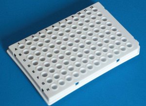 BRAND 96-well PCR plate BR781350-50EA