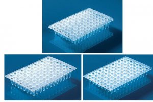 BRAND 96-well PCR plate BR781365-50EA