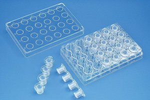 BRAND insert system: 6-well BRANDplates incl. 6 insert strips BR782822-1PK