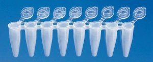 BRAND PCR tubes, strips of 8 BR781333-120EA
