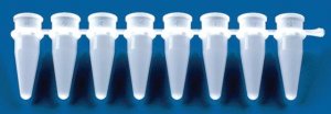 BRAND strips of 8 PCR tubes BR781322-1PK