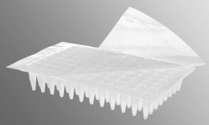 AxySeal sealing film with acrylic adhesive, for ELISA assays and T/C plates AXYPCRSP
