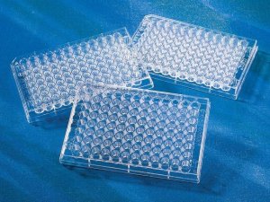 Corning 96 Well Clear Polystyrene Microplate CLS3358-100EA