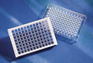 Corning 96 Well Sulfhydryl-BIND 96 Microplate CLS2509-50EA