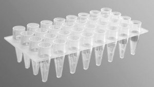 Corning Axygen 32 Well Polypropylene PCR Microplate AXYPCR32C