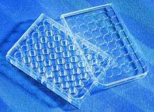 Corning CellBIND Multiple Well Plate 