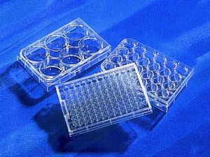 Corning Costar Ultra-Low Attachment Multiple Well Plate CLS7007-24EA