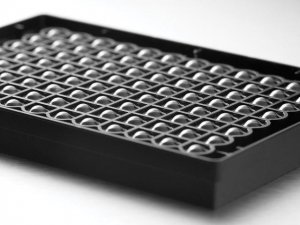 Corning spheroid microplates 