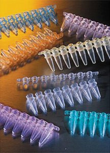 Corning Thermowell GOLD PCR 1 x 8 cap strips CLS3748-1250EA