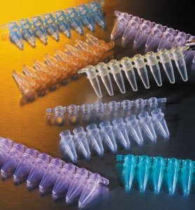 Corning Thermowell PCR 8 well strip tubes with caps CLS6547-300EA