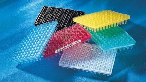 Corning Thermowell PCR 96 well plates CLS6509-25EA