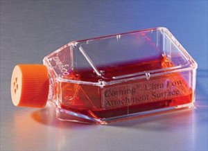 Corning Ultra-Low attachment cell culture flasks 