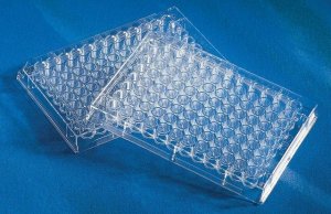 Corning UV-Transparent Microplates CLS3635-50EA