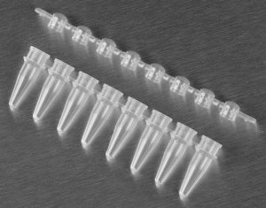 PCR strip tubes AXYPCR0208CPC