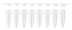 PCR strip tubes AXYPCR0208FCPC